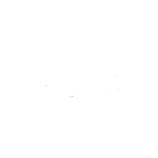 Skin Wellness logo